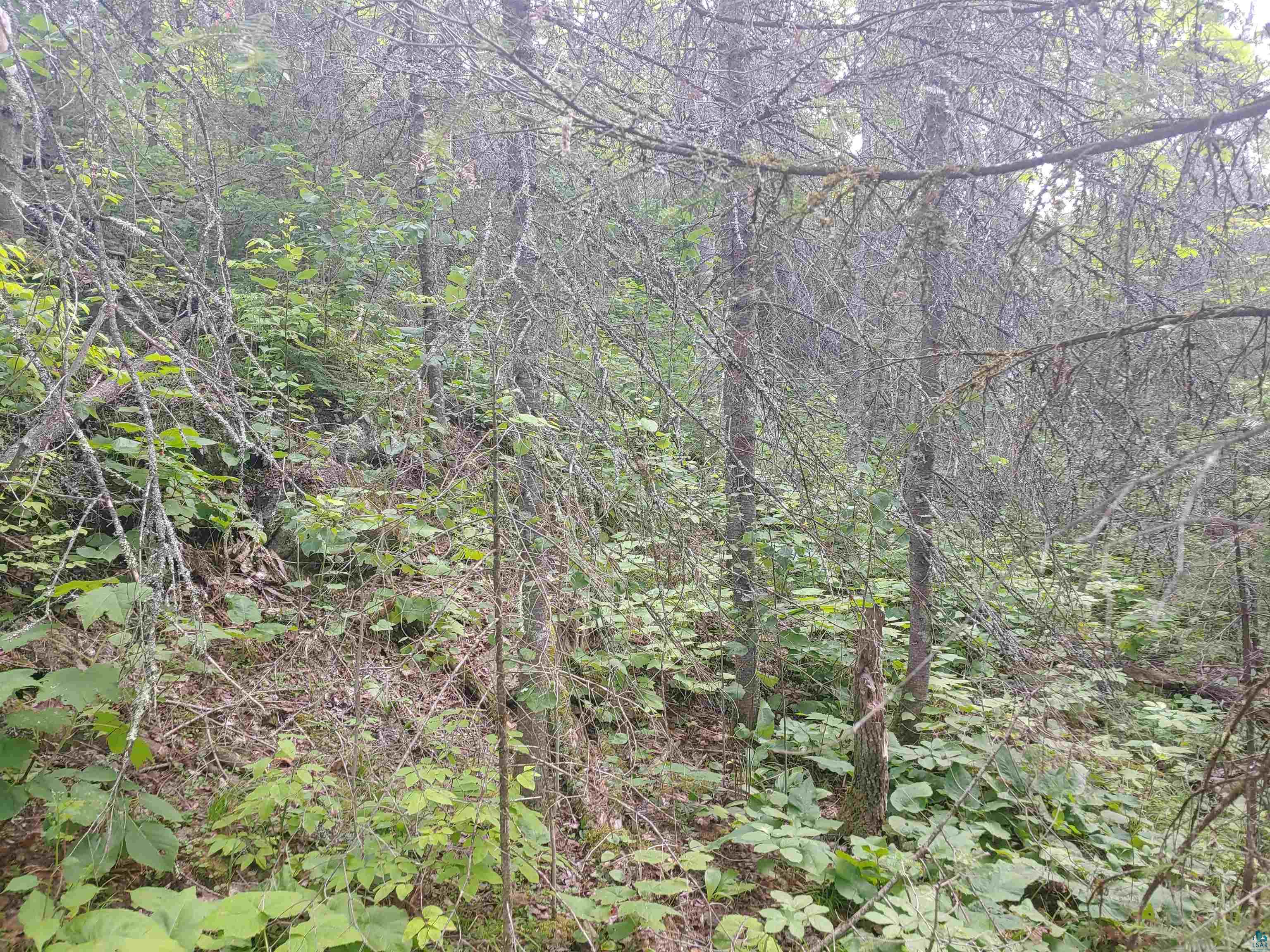 Two Gun Club Road Two Harbors, MN 55616 - Photo 2 of 14