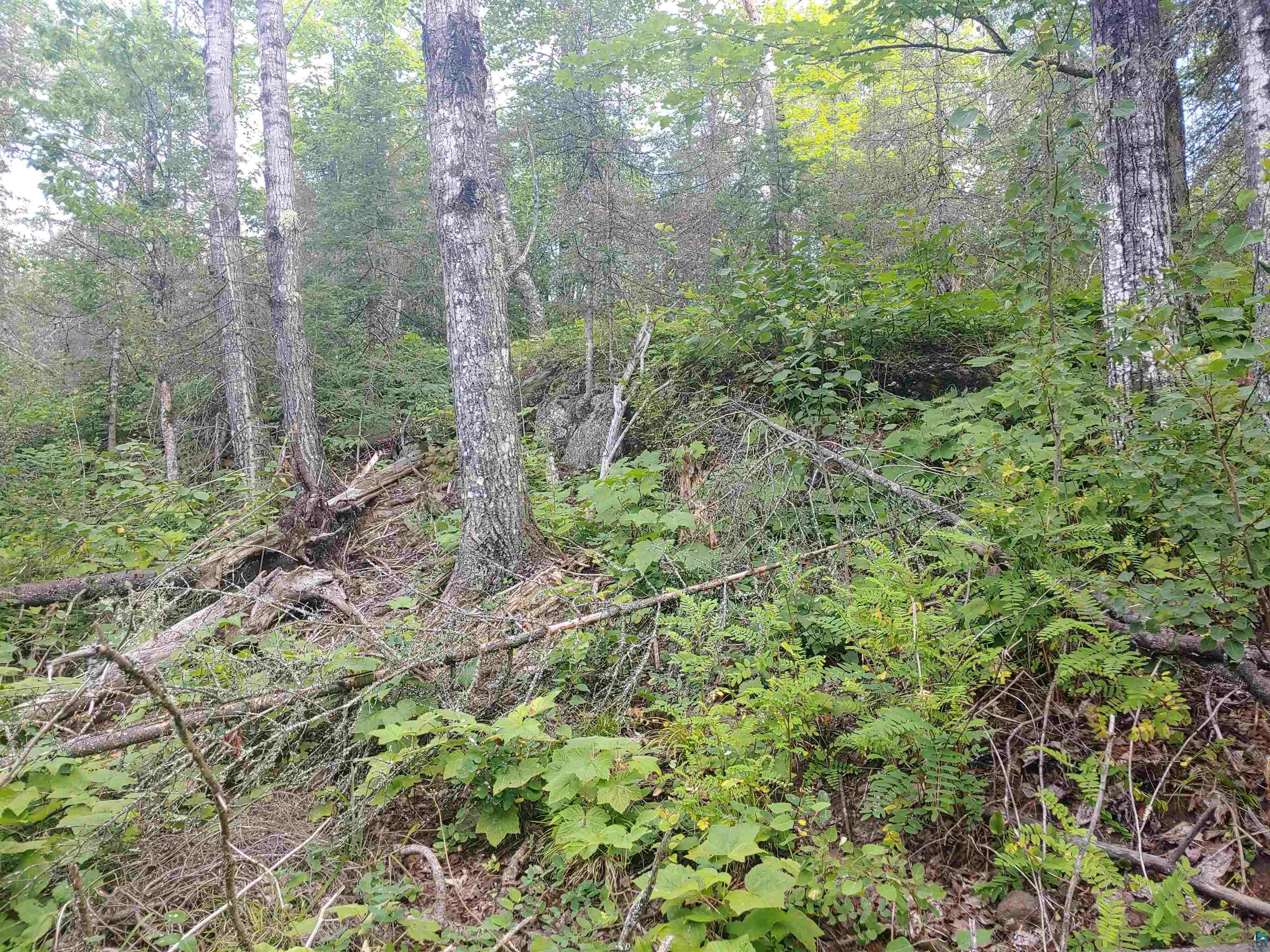 Two Gun Club Road Two Harbors, MN 55616 - Photo 3 of 14