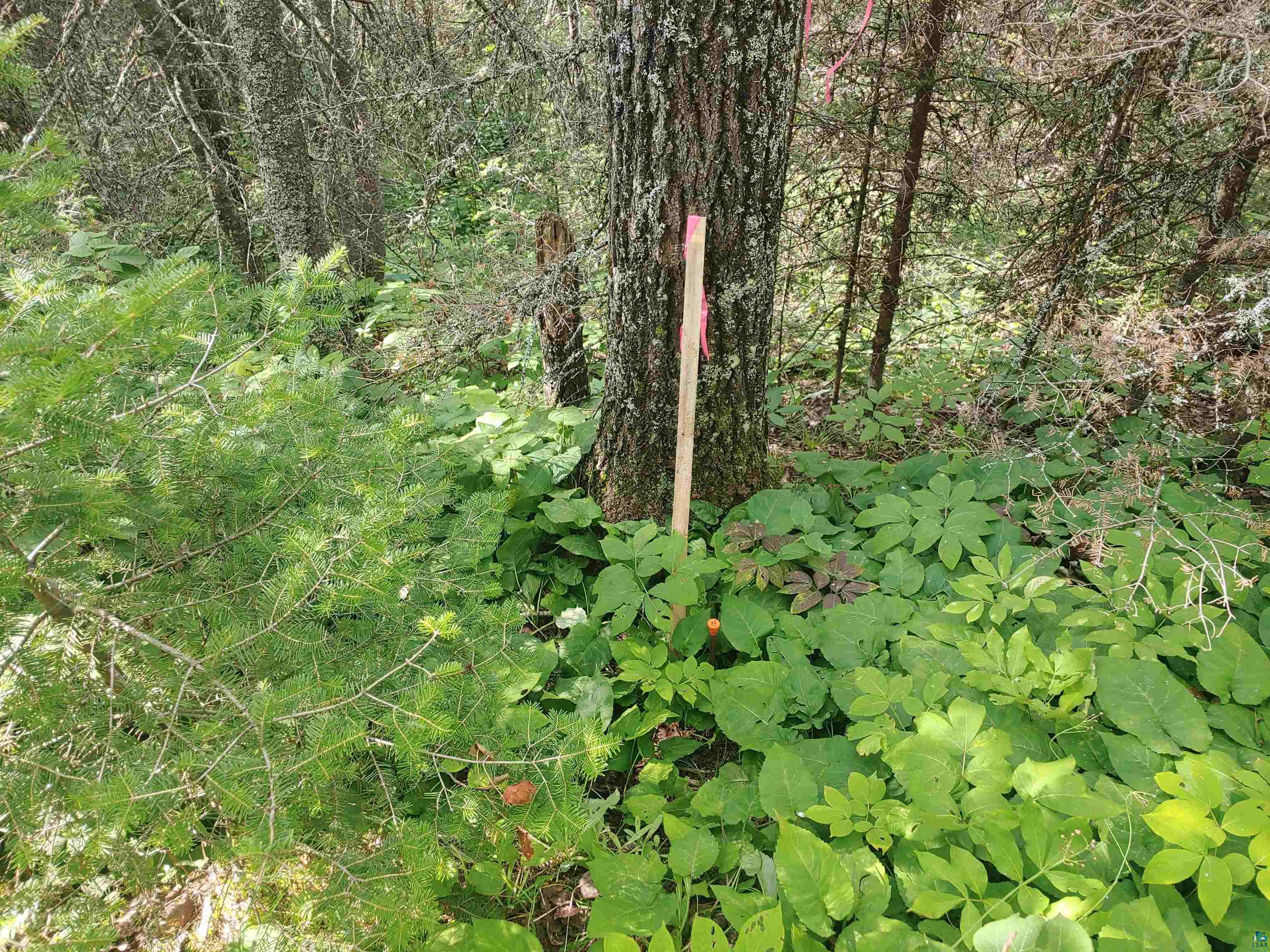Two Gun Club Road Two Harbors, MN 55616 - Photo 5 of 14