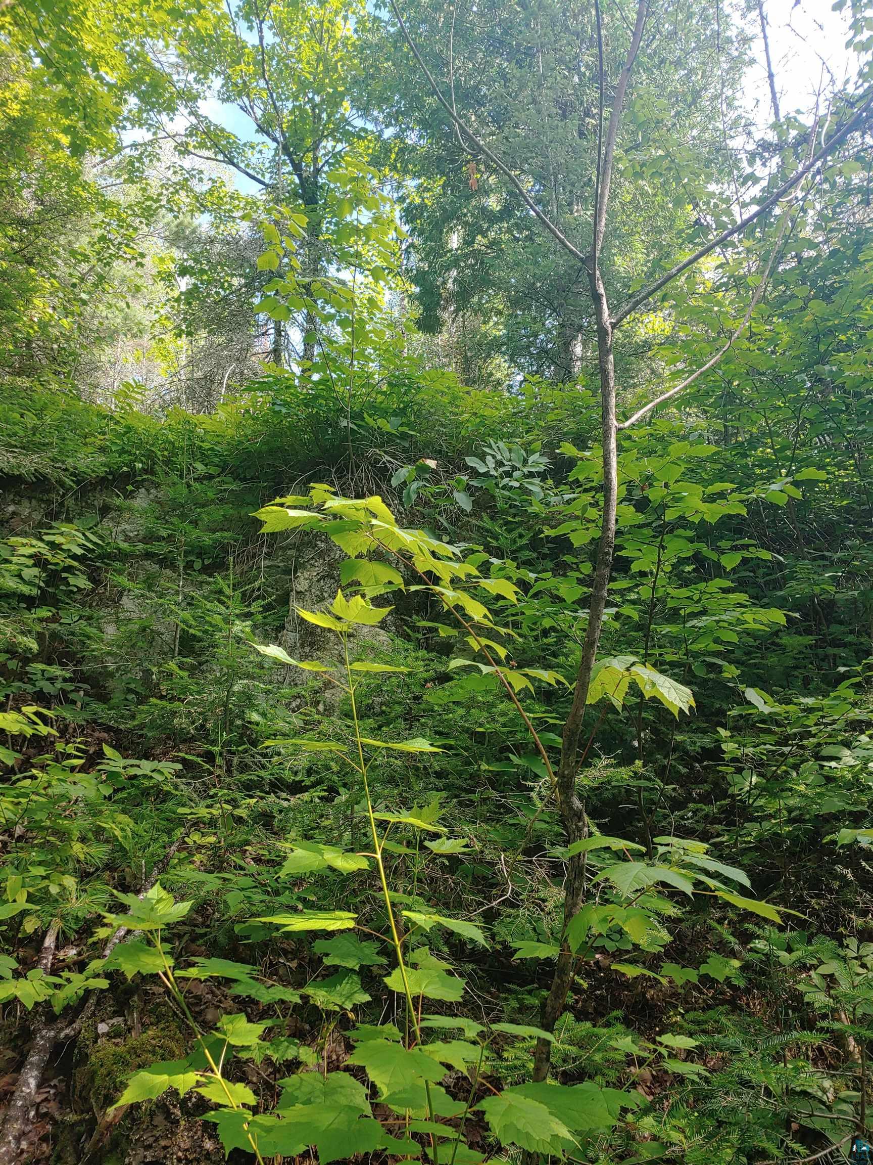 Two Gun Club Road Two Harbors, MN 55616 - Photo 8 of 14