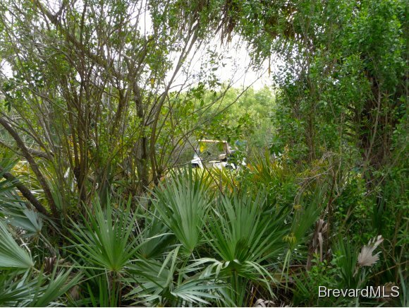 8225 Simpkins Way Melbourne, FL 32940 - Photo 12 of 12 a view of a garden