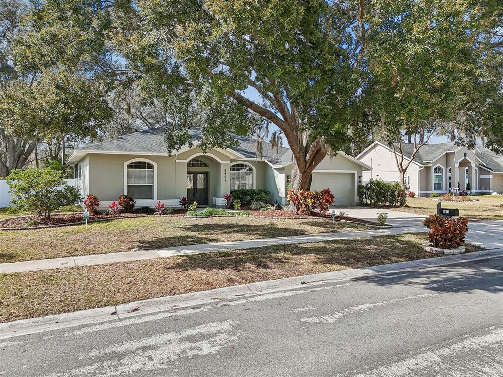 8443 Ridgebrook Circle Odessa, FL 33556 - Photo 88 of 98