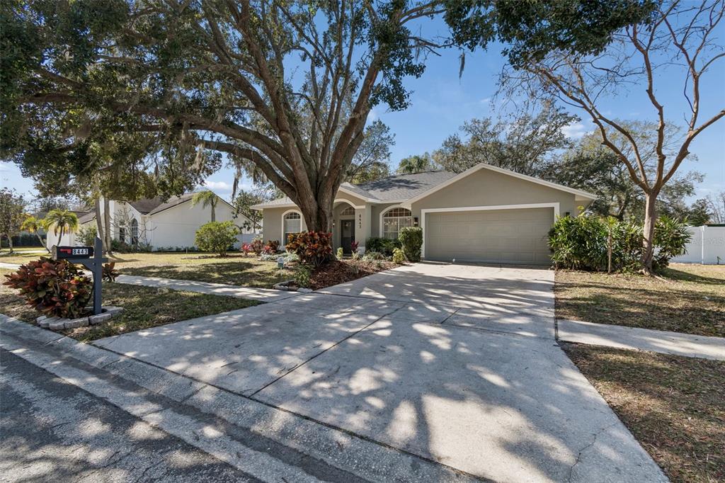 8443 Ridgebrook Circle Odessa, FL 33556 - Photo 90 of 98