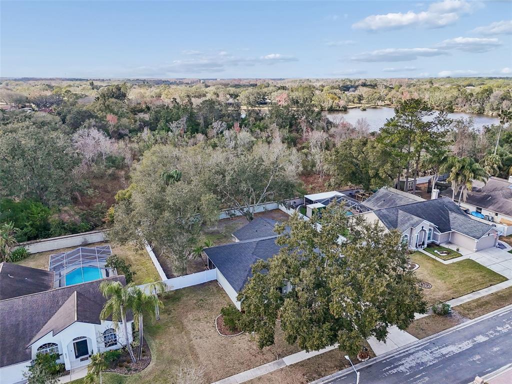 8443 Ridgebrook Circle Odessa, FL 33556 - Photo 97 of 98