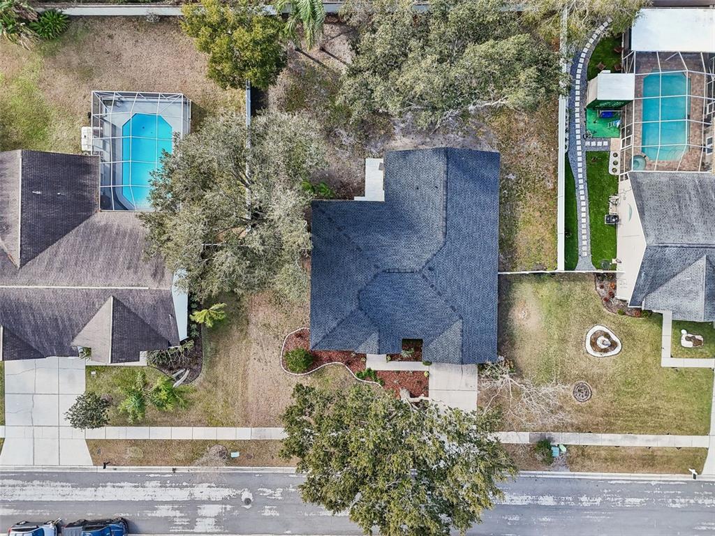 8443 Ridgebrook Circle Odessa, FL 33556 - Photo 98 of 98