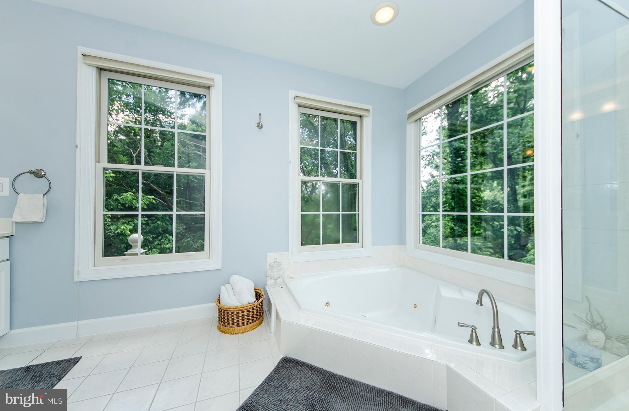 170 Rees Place Falls Church, VA 22046 - Photo 27 of 40 Master Bathroom