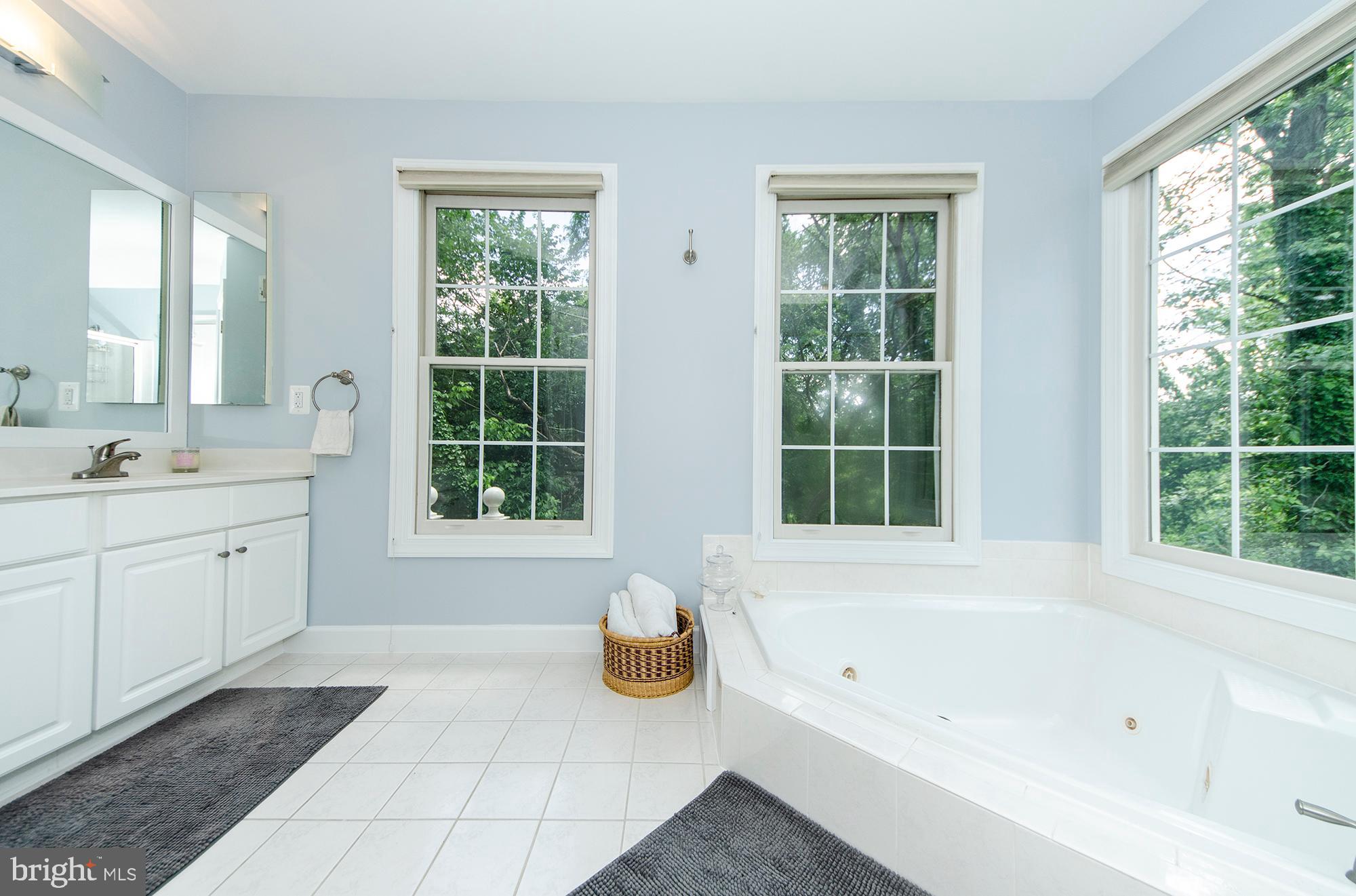 170 Rees Place Falls Church, VA 22046 - Photo 28 of 40 Master Bathroom