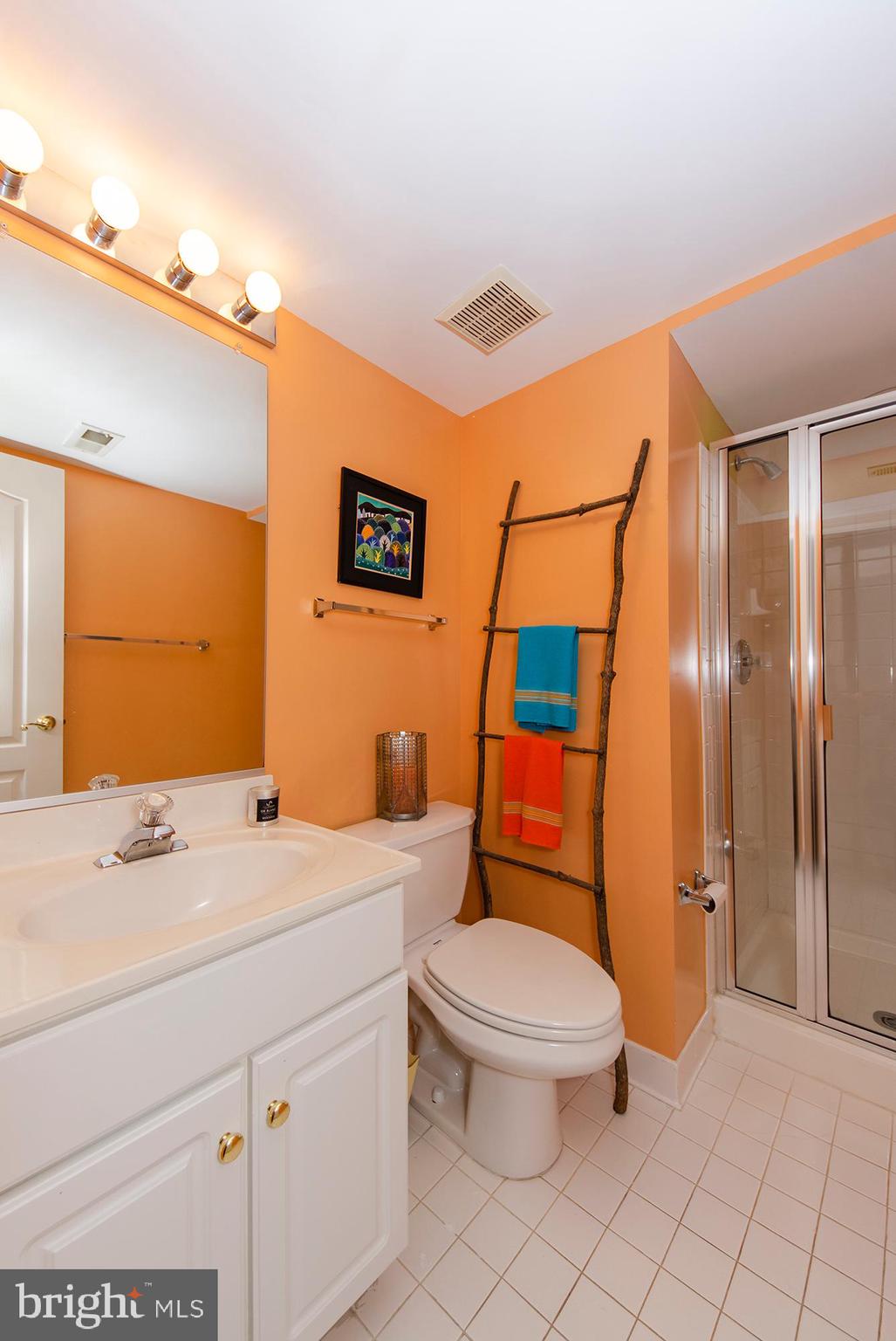 170 Rees Place Falls Church, VA 22046 - Photo 35 of 40 Lower Level Bathroom