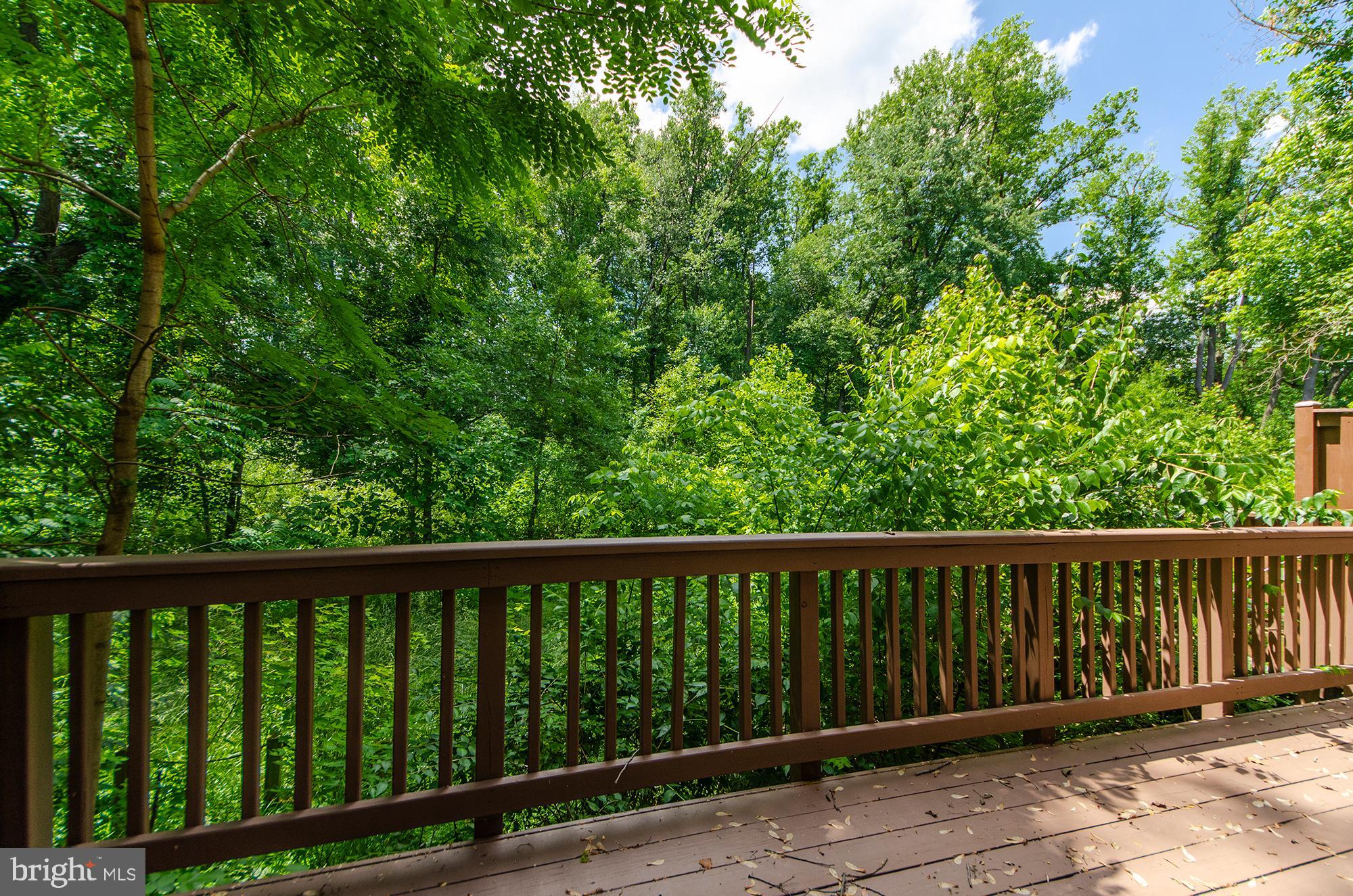 170 Rees Place Falls Church, VA 22046 - Photo 36 of 40 Lower Deck