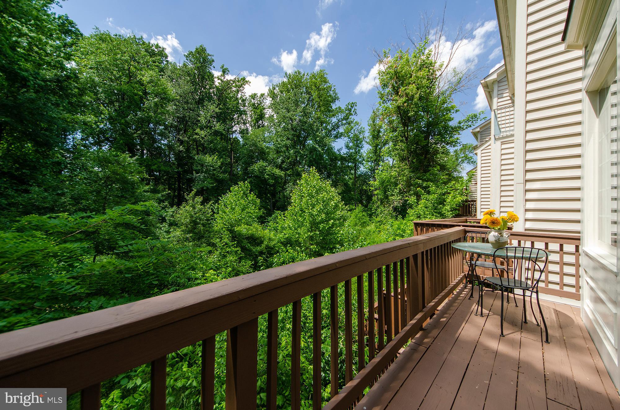 170 Rees Place Falls Church, VA 22046 - Photo 38 of 40 Upper Level Deck