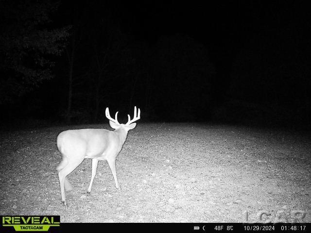 10000 Sheeler Road Onsted, MI 49265 - Photo 24 of 38 Gallery Image 24