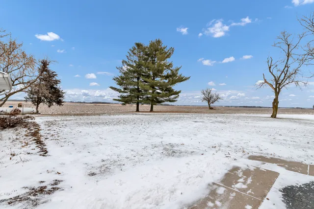 a view of a yard with a tree