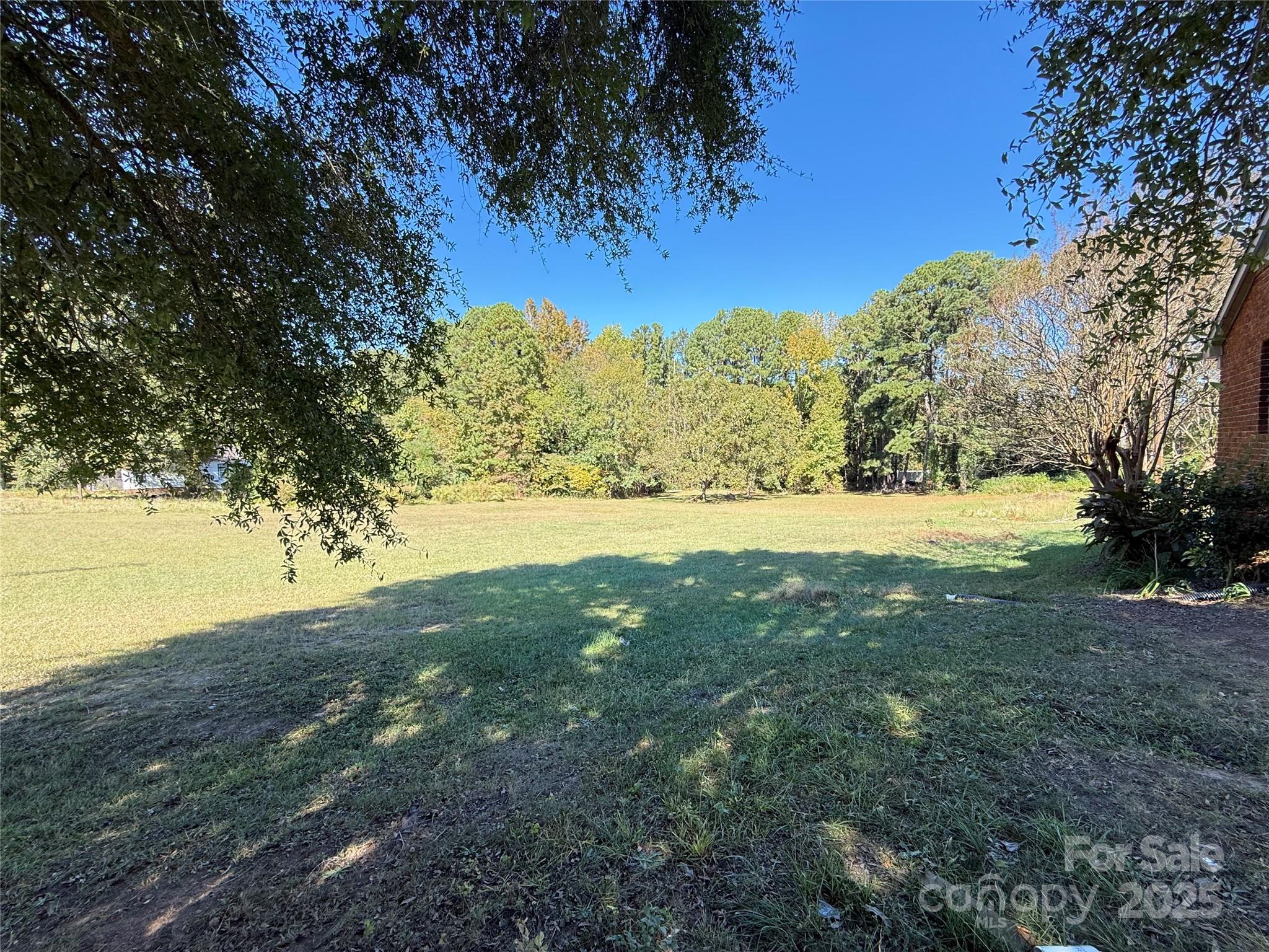 115 Chester Avenue Great Falls, SC 29055 - Photo 4 of 32 a view of yard with ocean view
