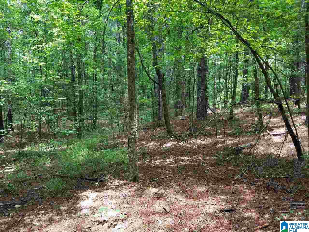 0 Baker Road, Unit 1 Ashville, AL 35953 - Photo 14 of 16