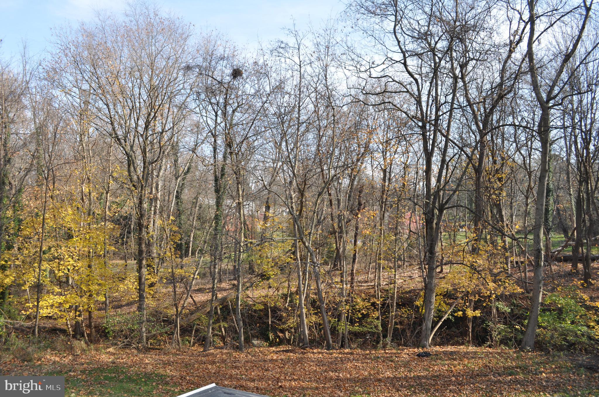 2649 Sheridan Road York, PA 17406 - Photo 4 of 39 Partially Wooded Back Yard