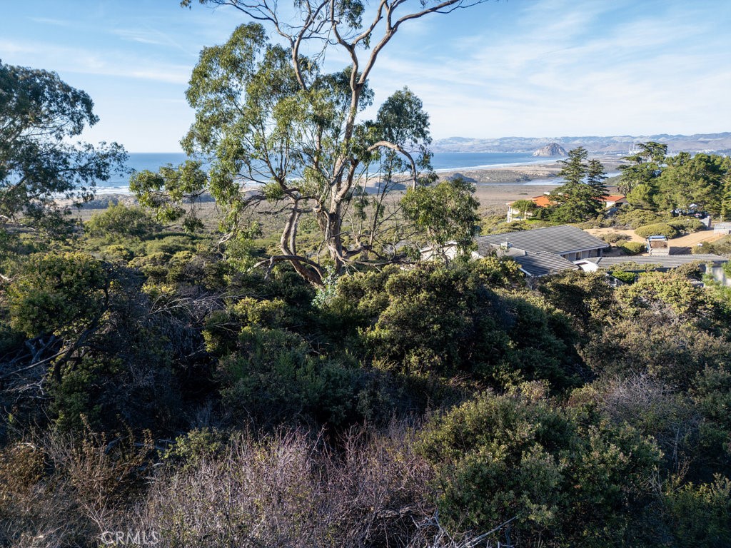 0 Pecho Valley Road Los Osos, CA 93402 - Photo 6 of 12