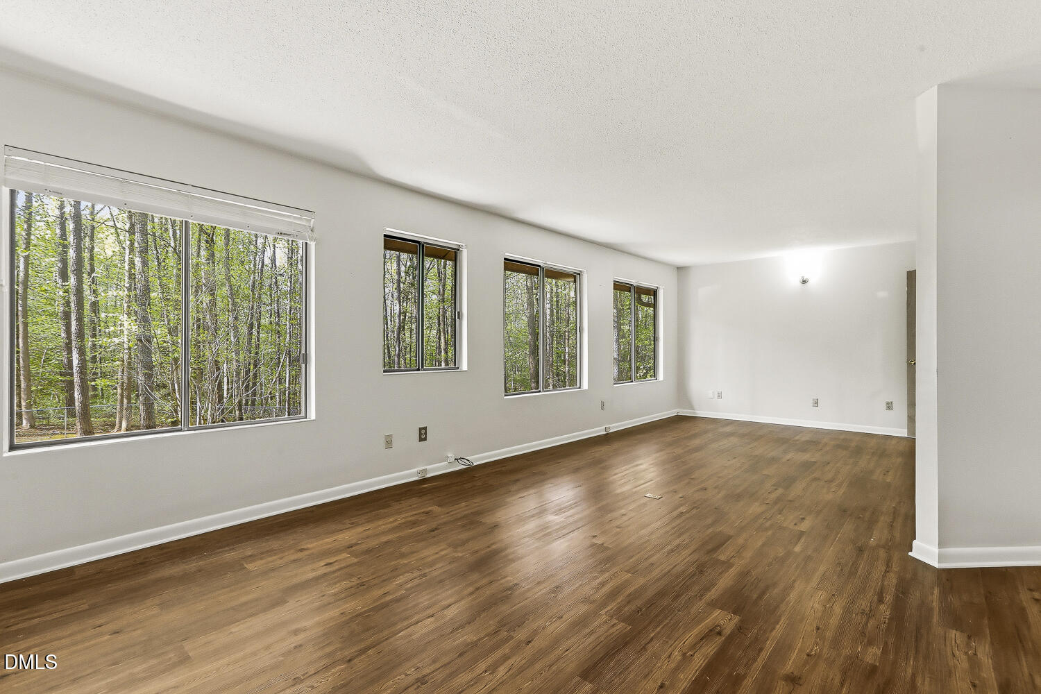 369 River Road Pittsboro, NC 27312 - Photo 19 of 52 Rec/Bonus Room