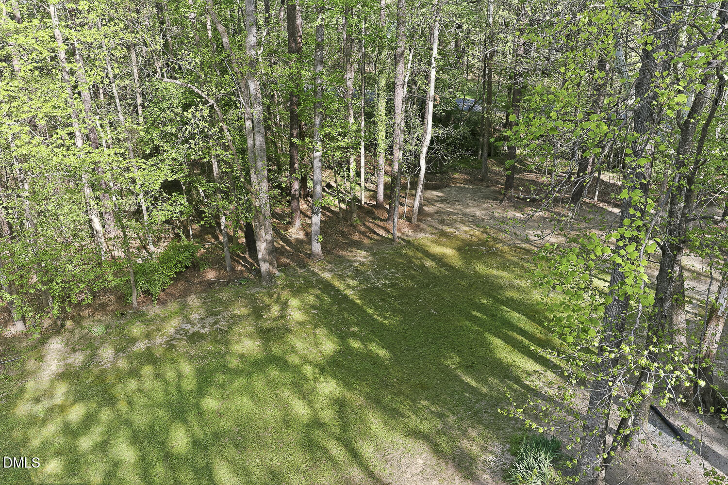 369 River Road Pittsboro, NC 27312 - Photo 47 of 52 Yard