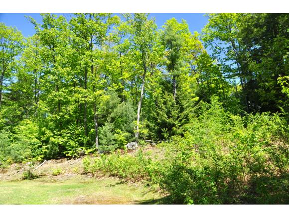 284 Dickey Hill Road Deering, NH 03244 - Photo 24 of 26 Gallery Image 24