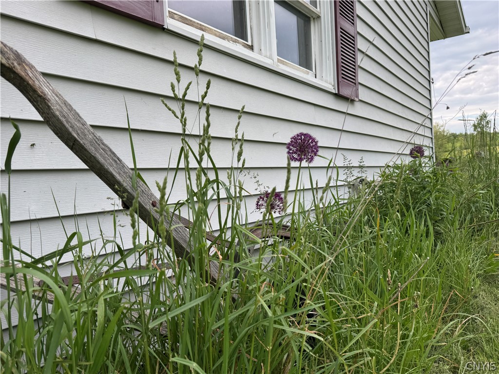 7043 Hutches Road Bath, NY 14810 - Photo 32 of 32 Landscaping