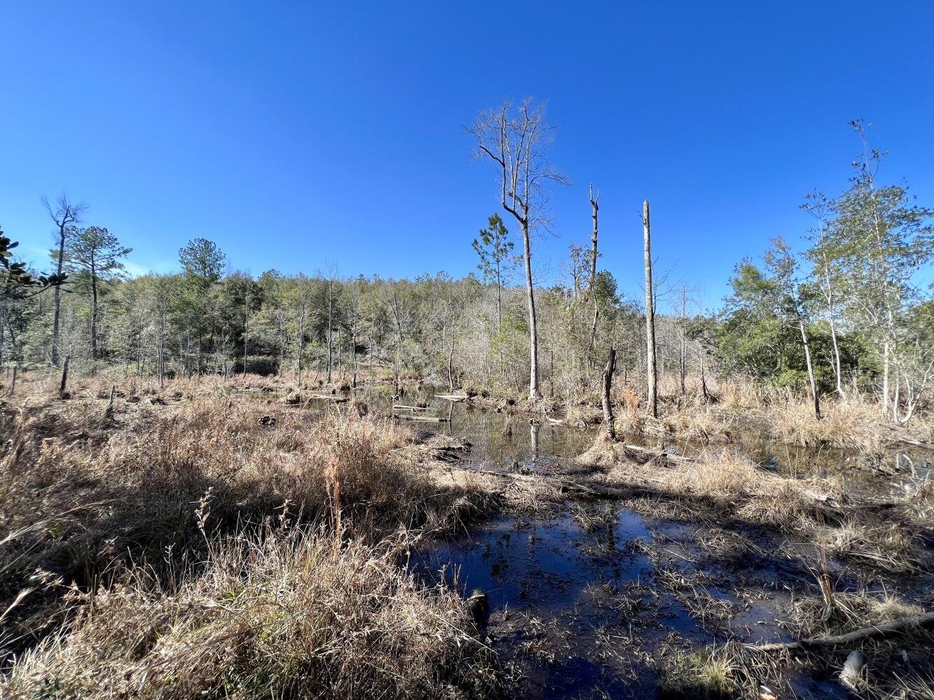 0 Dixon Road Bay Minette, AL 36507 - Photo 29 of 50