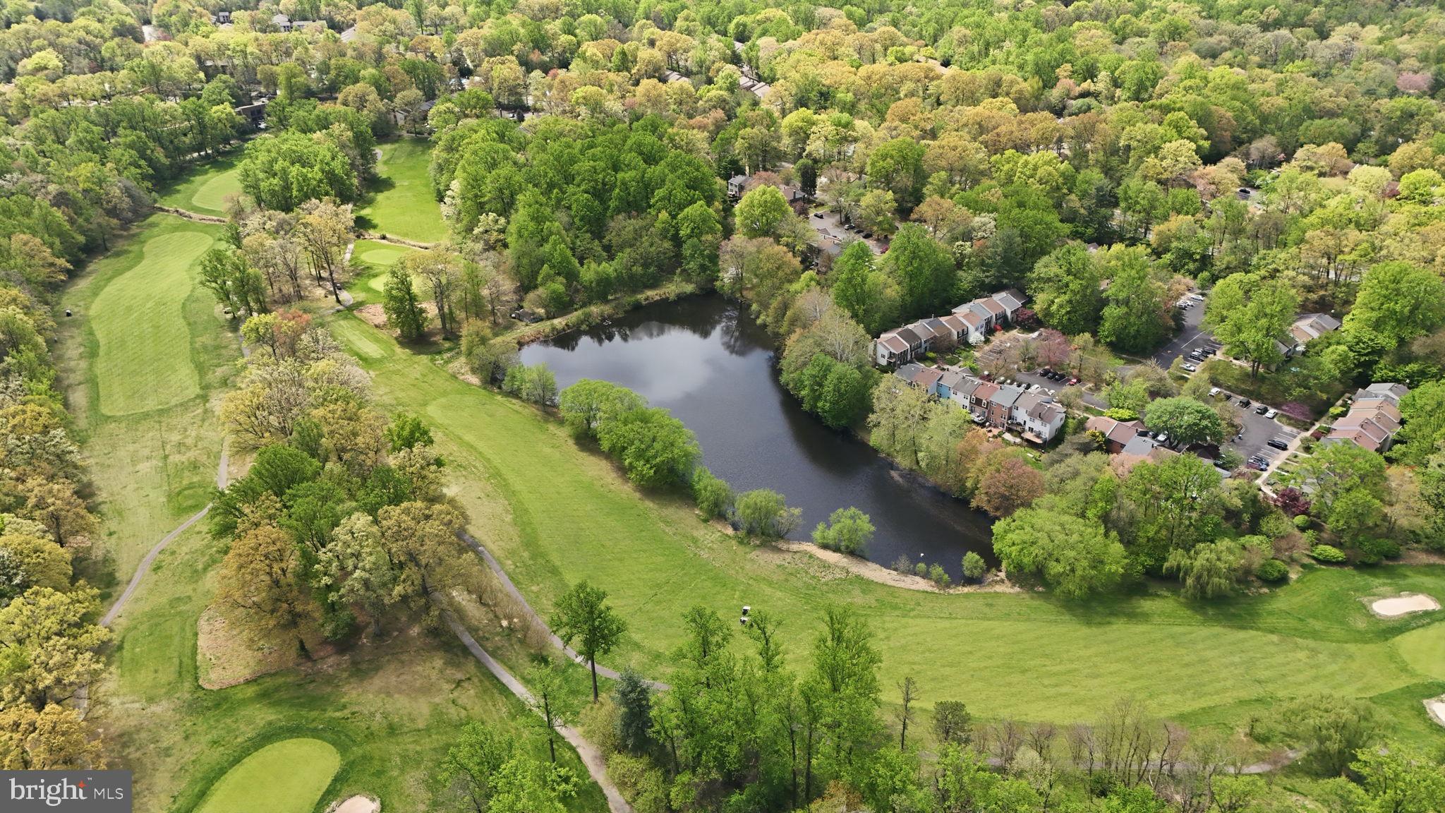 2151 Greenkeepers Court Reston, VA 20191 - Photo 41 of 44 Beautiful tree lines pond in your backyard