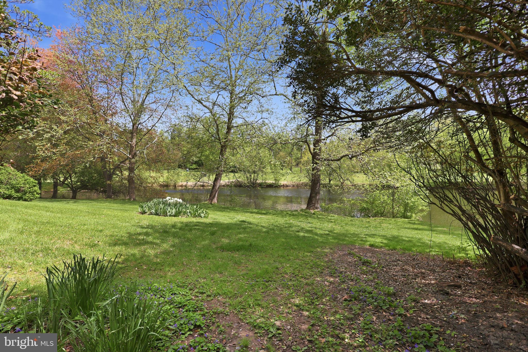 2151 Greenkeepers Court Reston, VA 20191 - Photo 42 of 44 View of the pond from the patio
