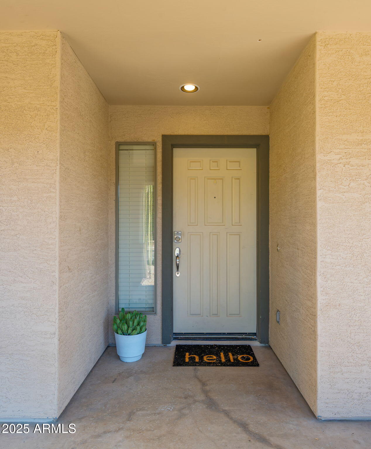 2215 West Peak View Road Phoenix, AZ 85085 - Photo 5 of 51 an empty room with potted plant