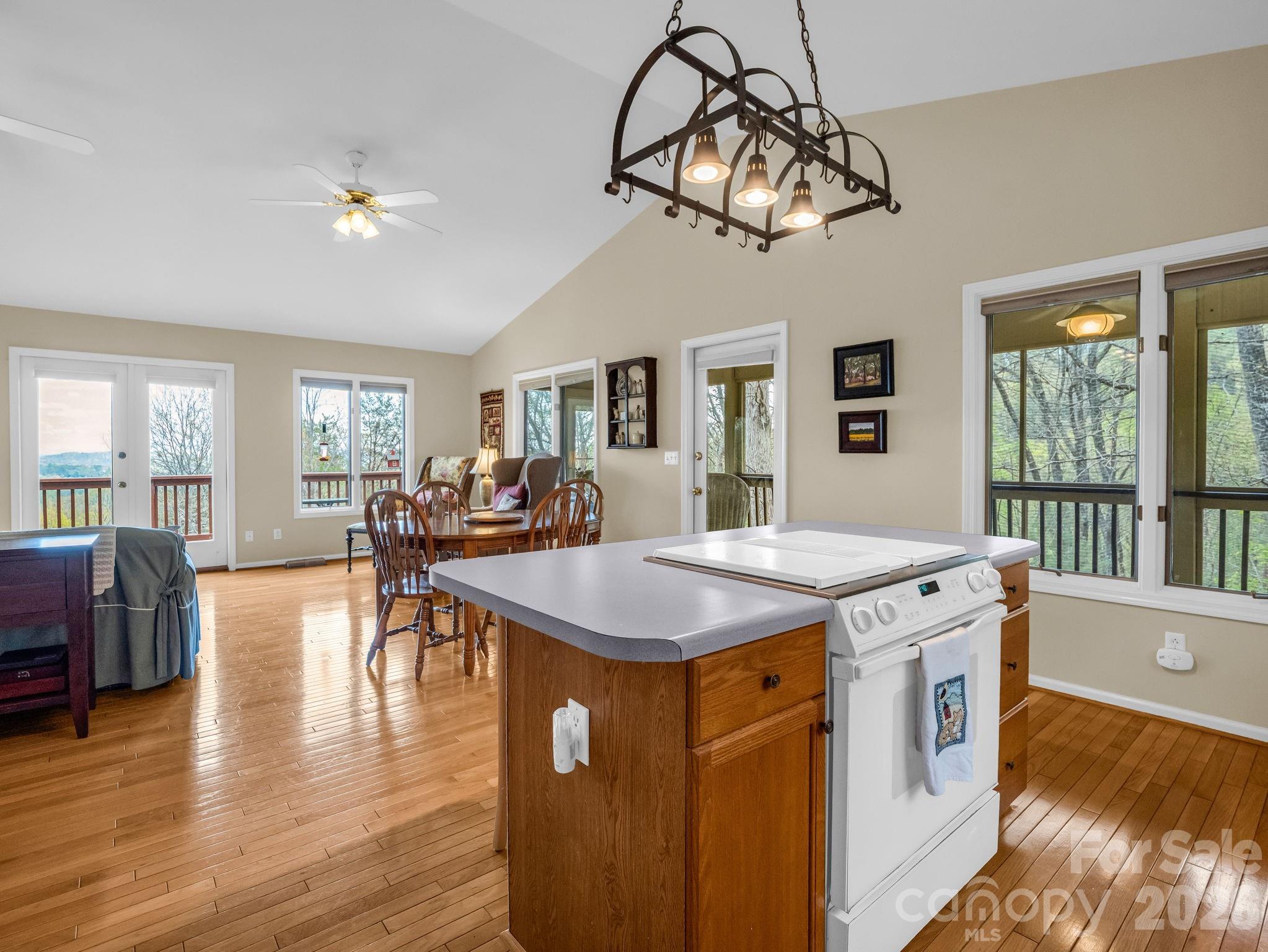 197 Thomas A Edison Road Lake Lure, NC 28746 - Photo 16 of 44