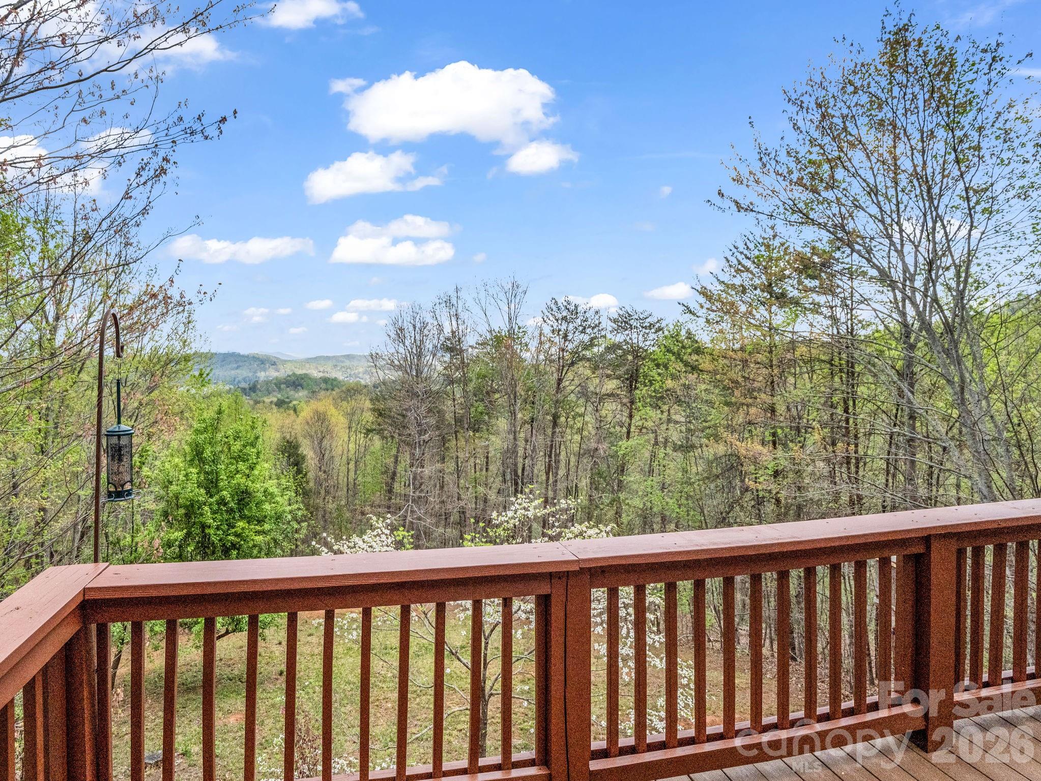 197 Thomas A Edison Road Lake Lure, NC 28746 - Photo 21 of 44