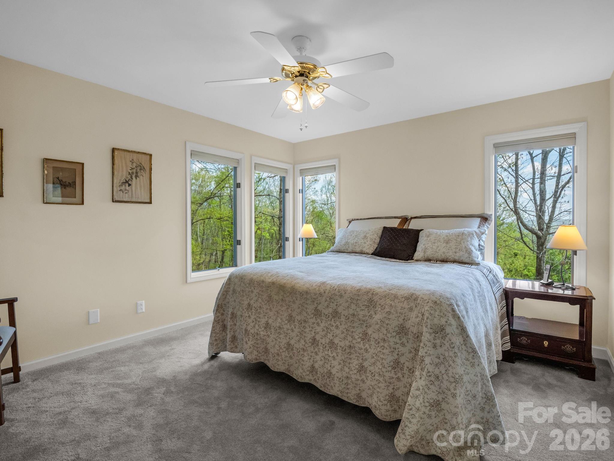 197 Thomas A Edison Road Lake Lure, NC 28746 - Photo 25 of 44