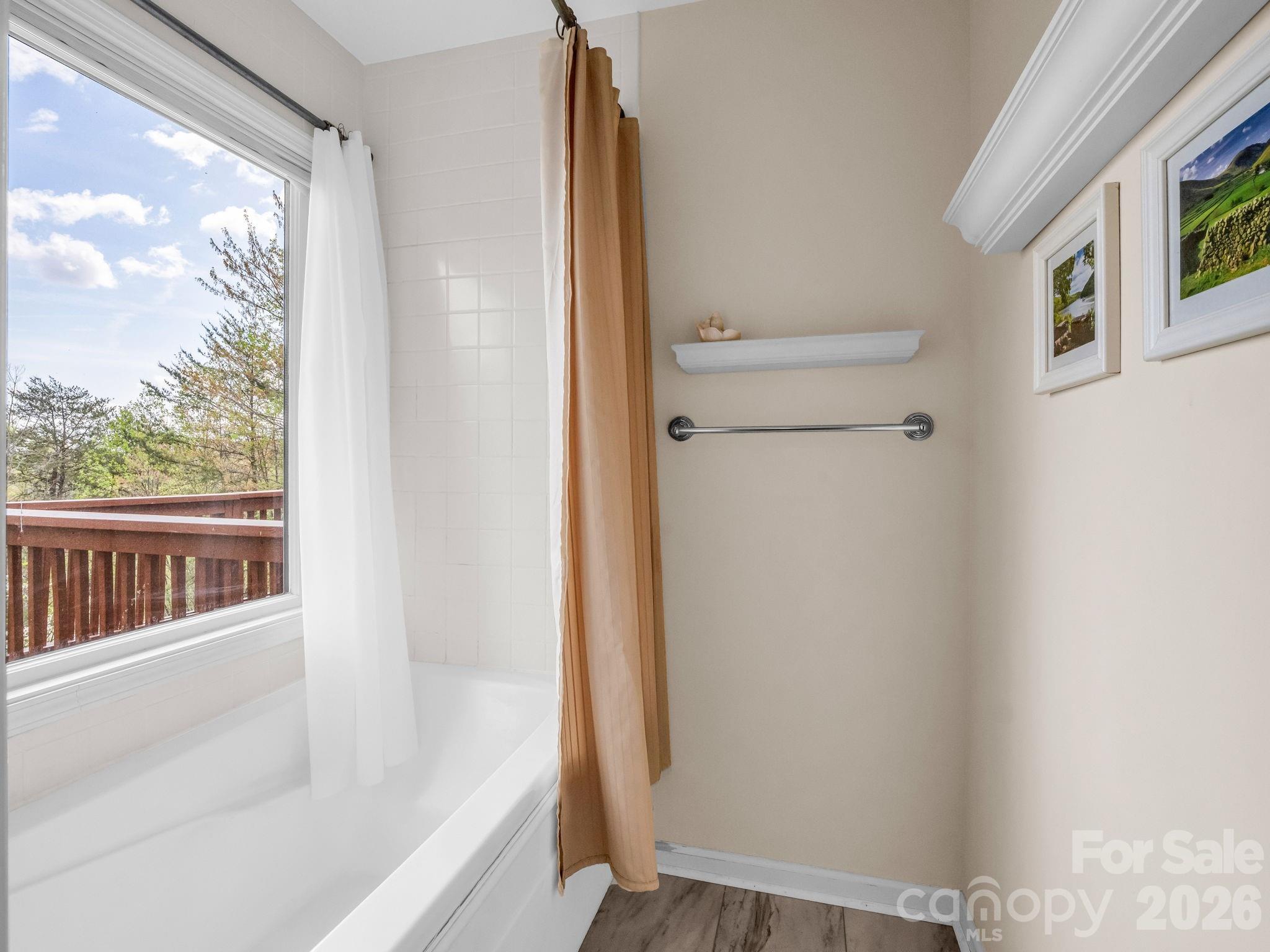 197 Thomas A Edison Road Lake Lure, NC 28746 - Photo 29 of 44