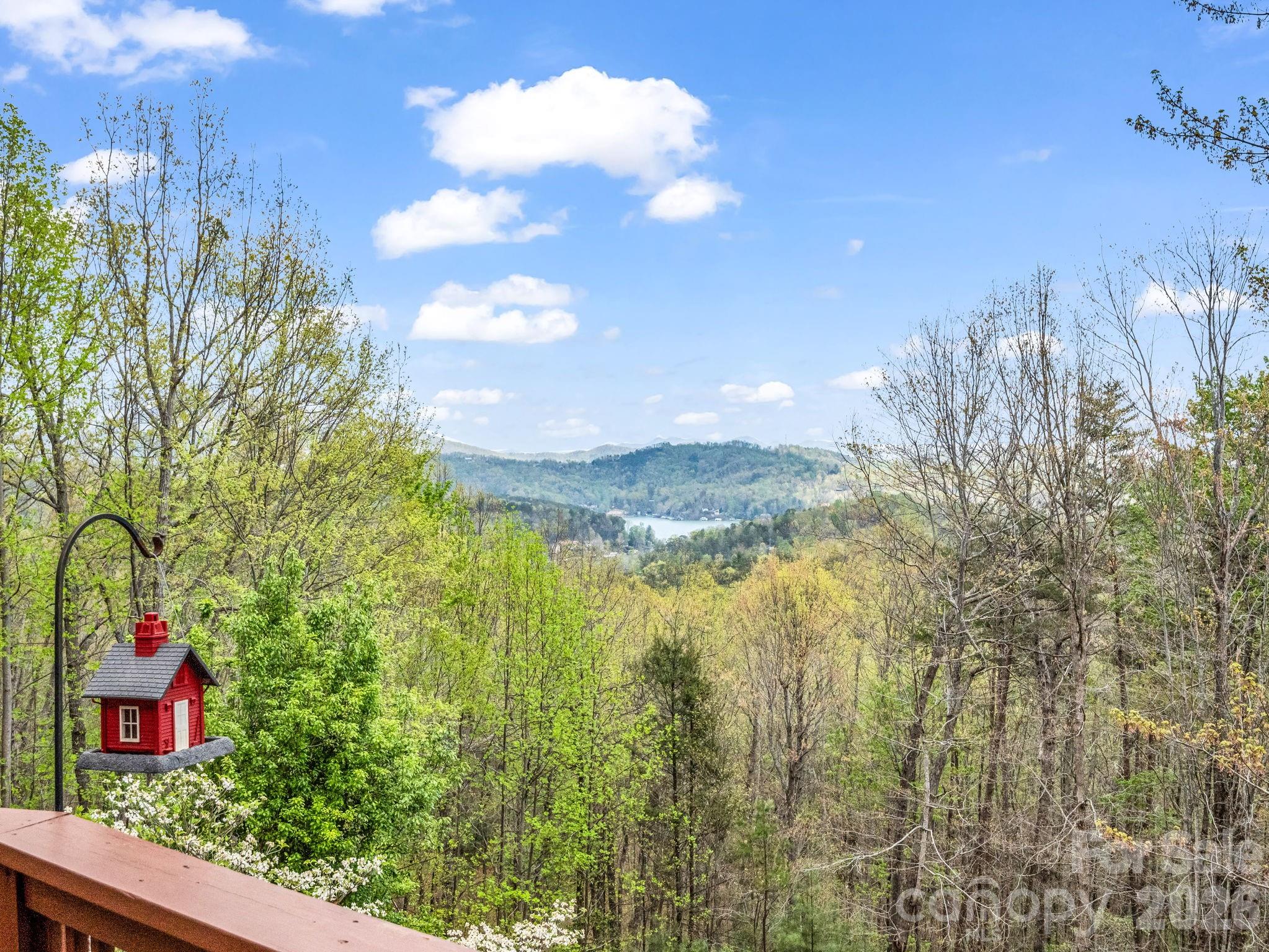 197 Thomas A Edison Road Lake Lure, NC 28746 - Photo 3 of 44