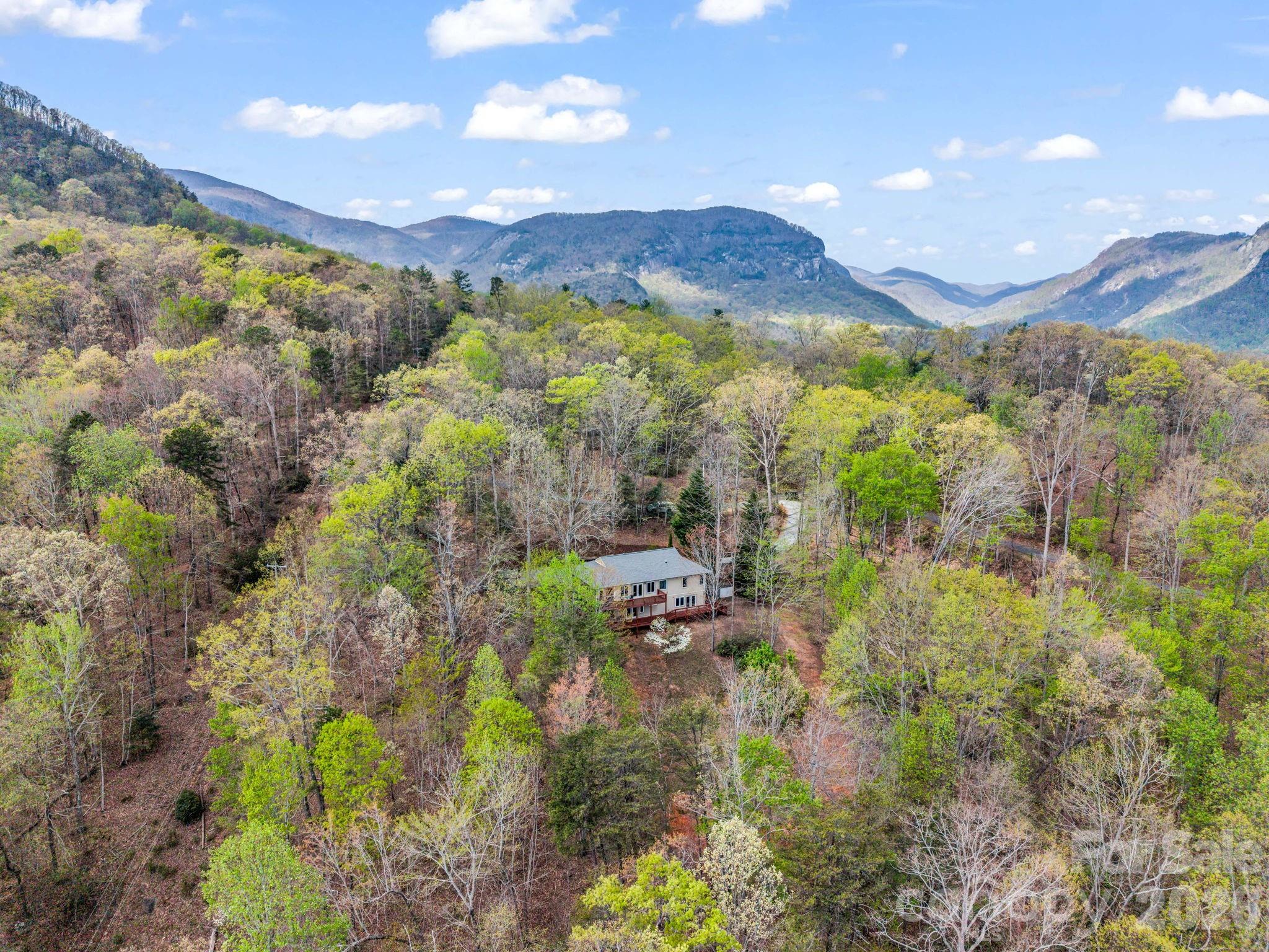 197 Thomas A Edison Road Lake Lure, NC 28746 - Photo 6 of 44