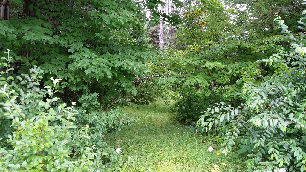75 Campground Road North Anson, ME 04958 - Photo 28 of 31 Make this YOUR path to enjoying Maine