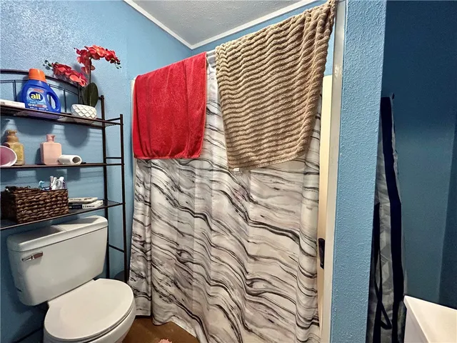 a bathroom with a toilet and a shower curtain