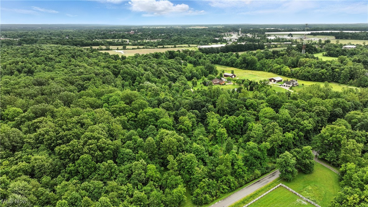 21251 Pitts Road Wellington, OH 44090 - Photo 4 of 14 Bird's eye view of a forest