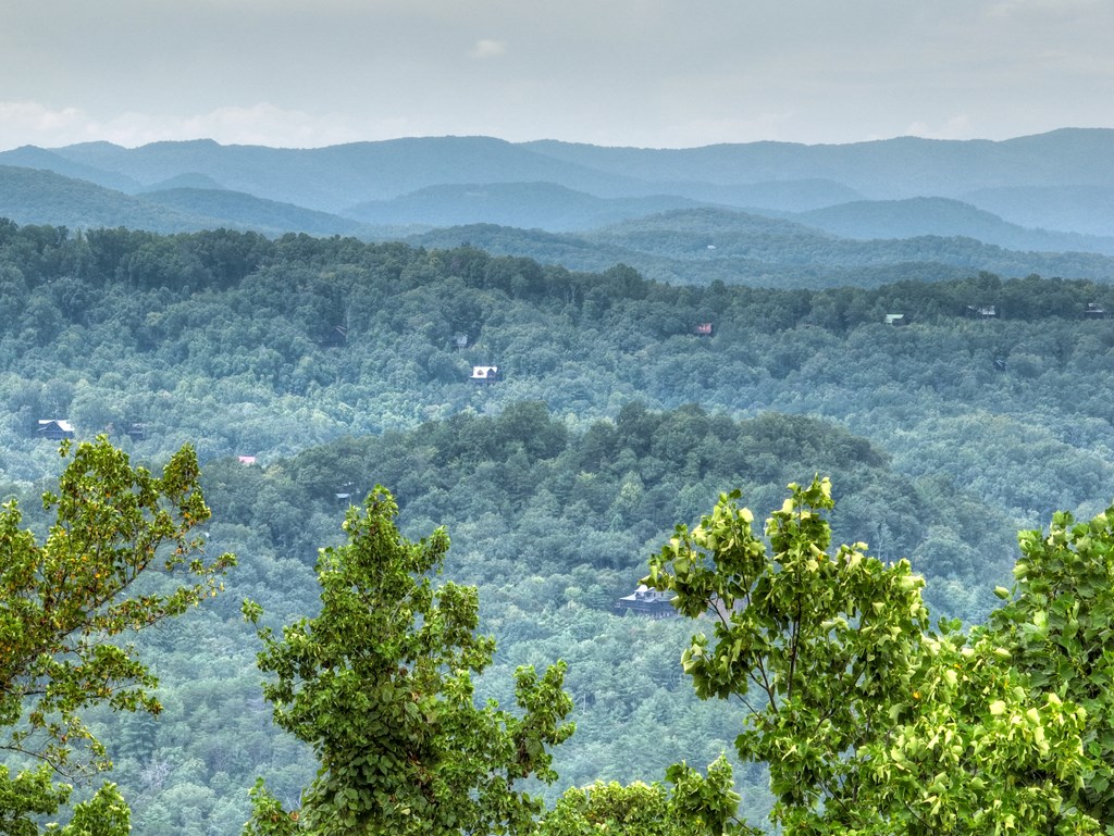 472 Overlook Drive Blue Ridge, GA 30513 - Photo 53 of 70 a view of a lush green hillside and a building