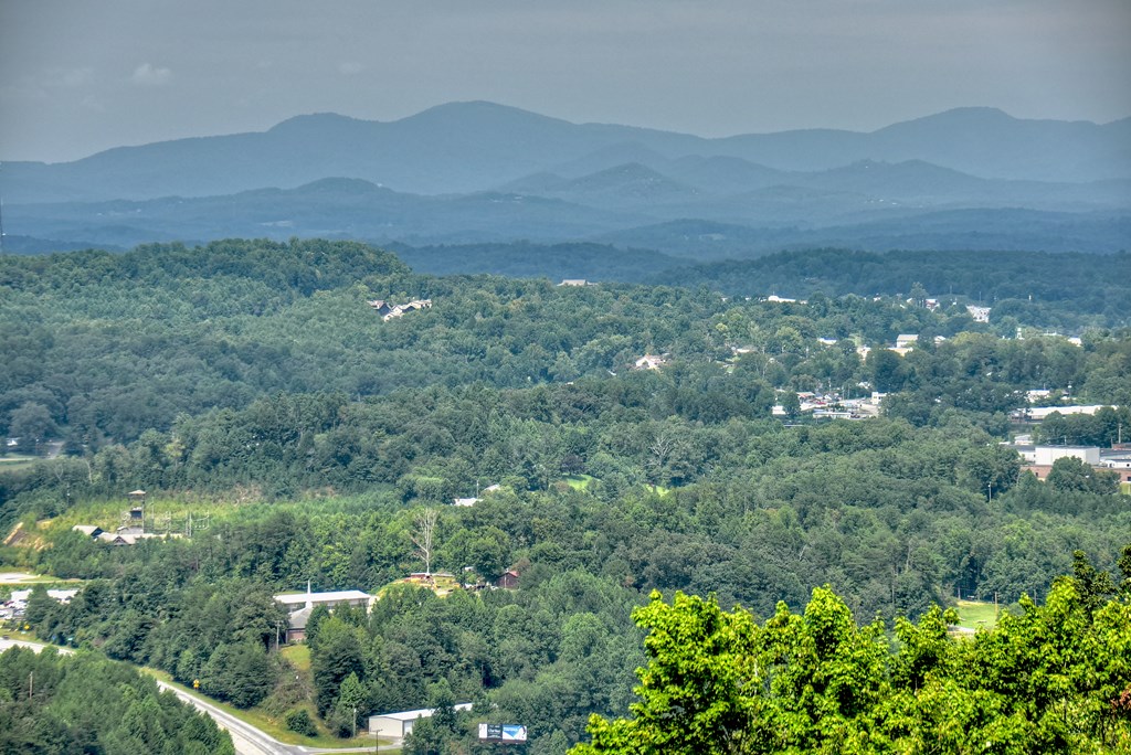 472 Overlook Drive Blue Ridge, GA 30513 - Photo 59 of 70 a view of a lush green hillside and a building