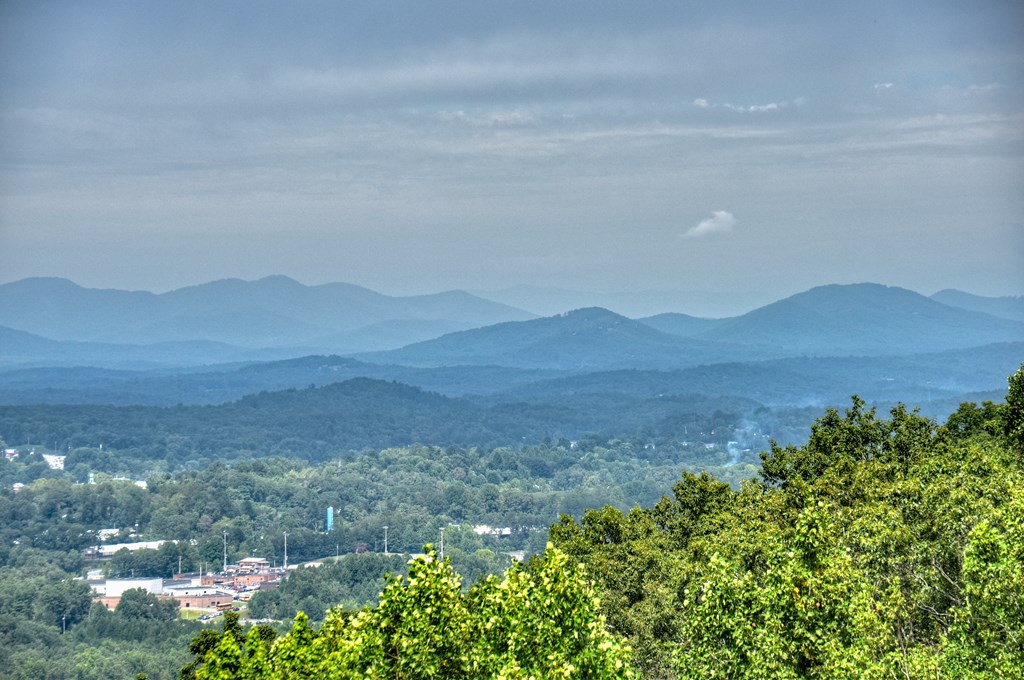 472 Overlook Drive Blue Ridge, GA 30513 - Photo 60 of 70