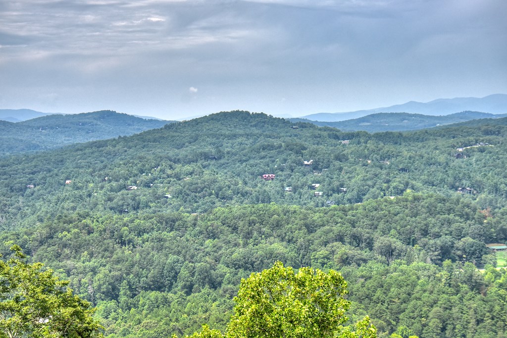 472 Overlook Drive Blue Ridge, GA 30513 - Photo 69 of 70 a view of a lush green forest with trees in the background