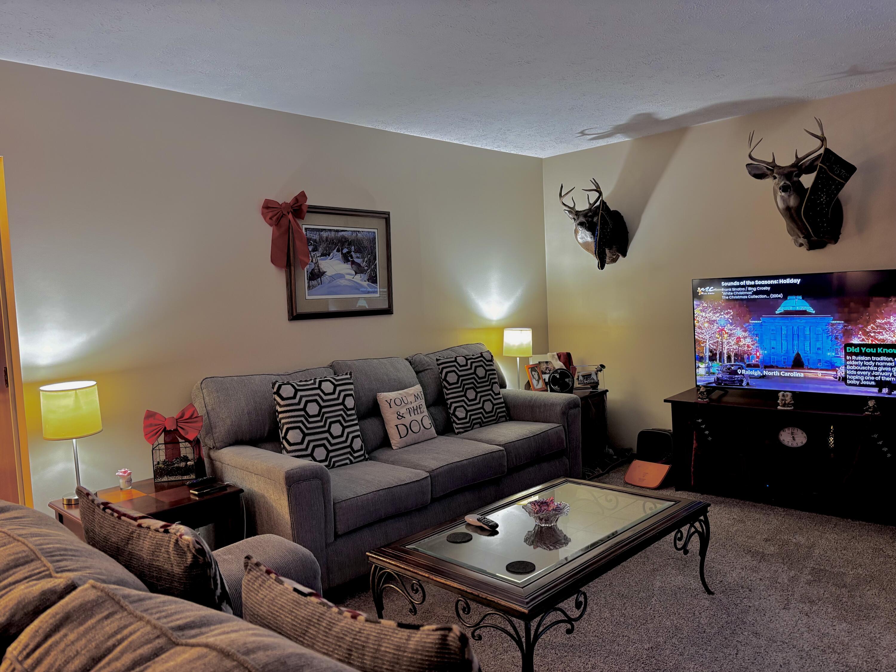 3728 South Merrillville Road Baldwin, MI 49304 - Photo 12 of 22 Livingroom
