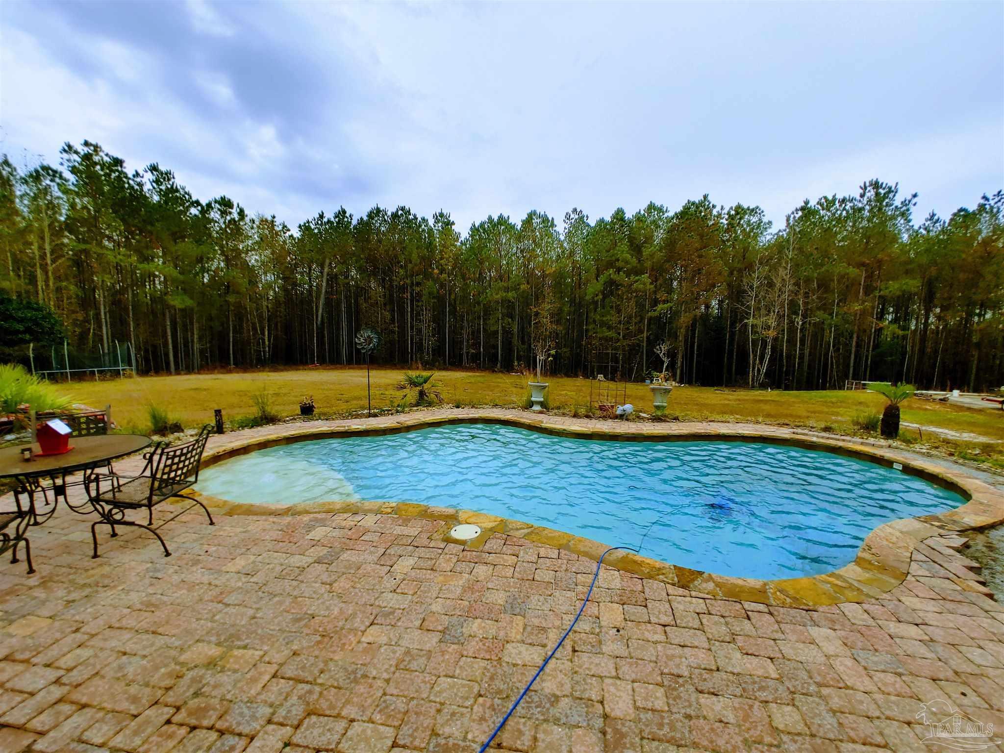 415 Clark Road Gilbertown, AL 36908 - Photo 34 of 50 a view of a swimming pool with a yard and trees