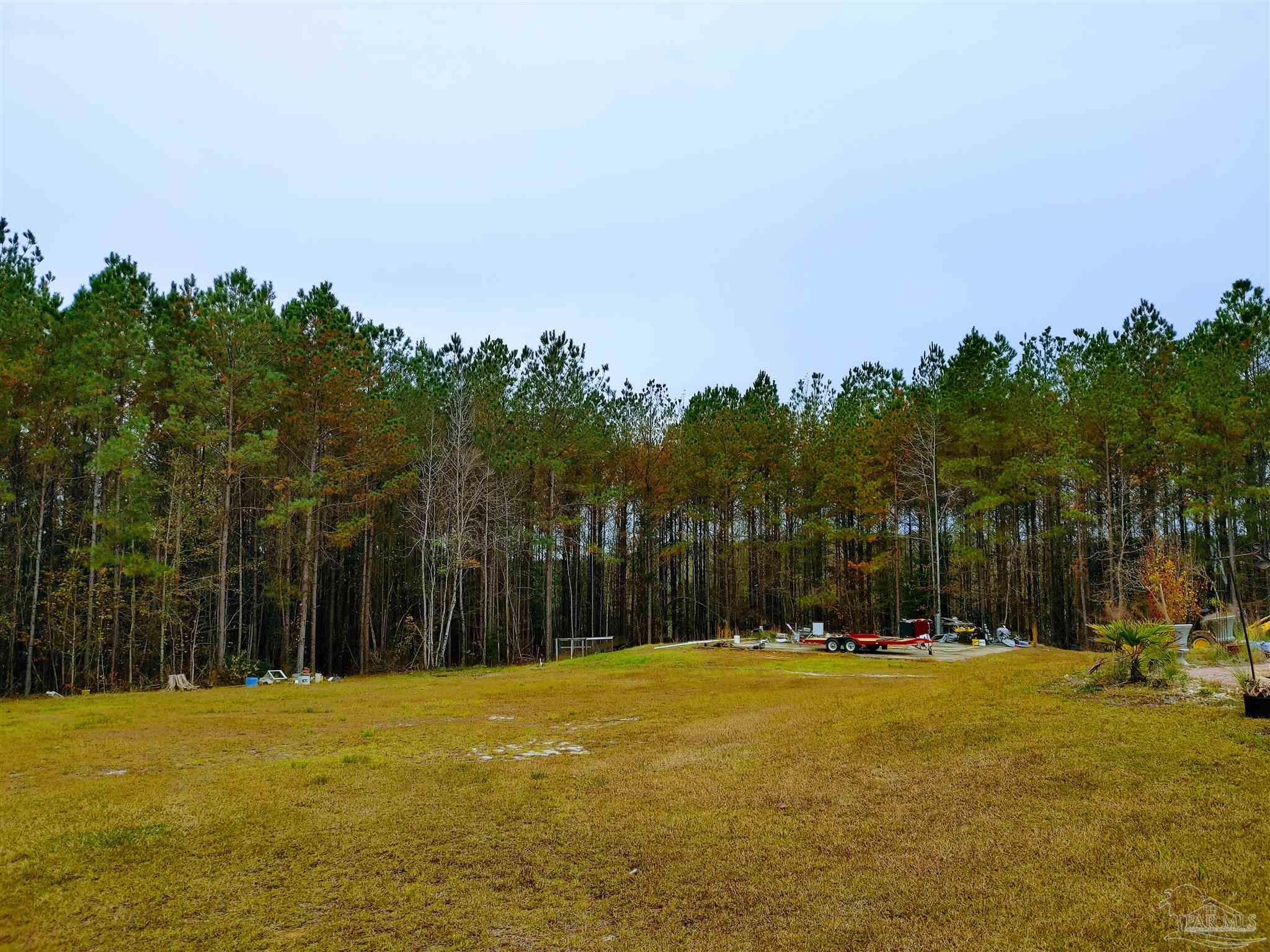 415 Clark Road Gilbertown, AL 36908 - Photo 49 of 50 a view of swimming pool and trees in the background