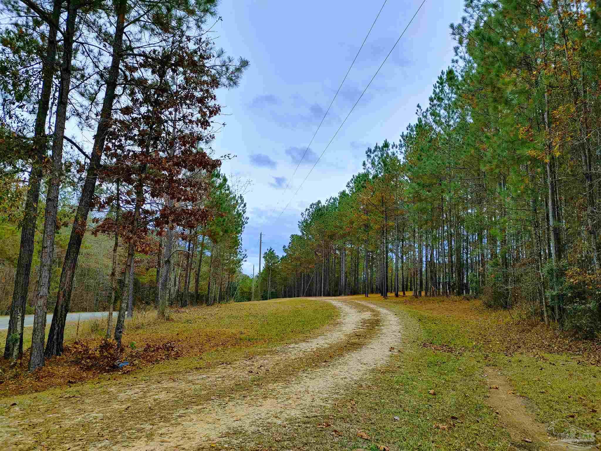 415 Clark Road Gilbertown, AL 36908 - Photo 50 of 50 a view of a outdoor space