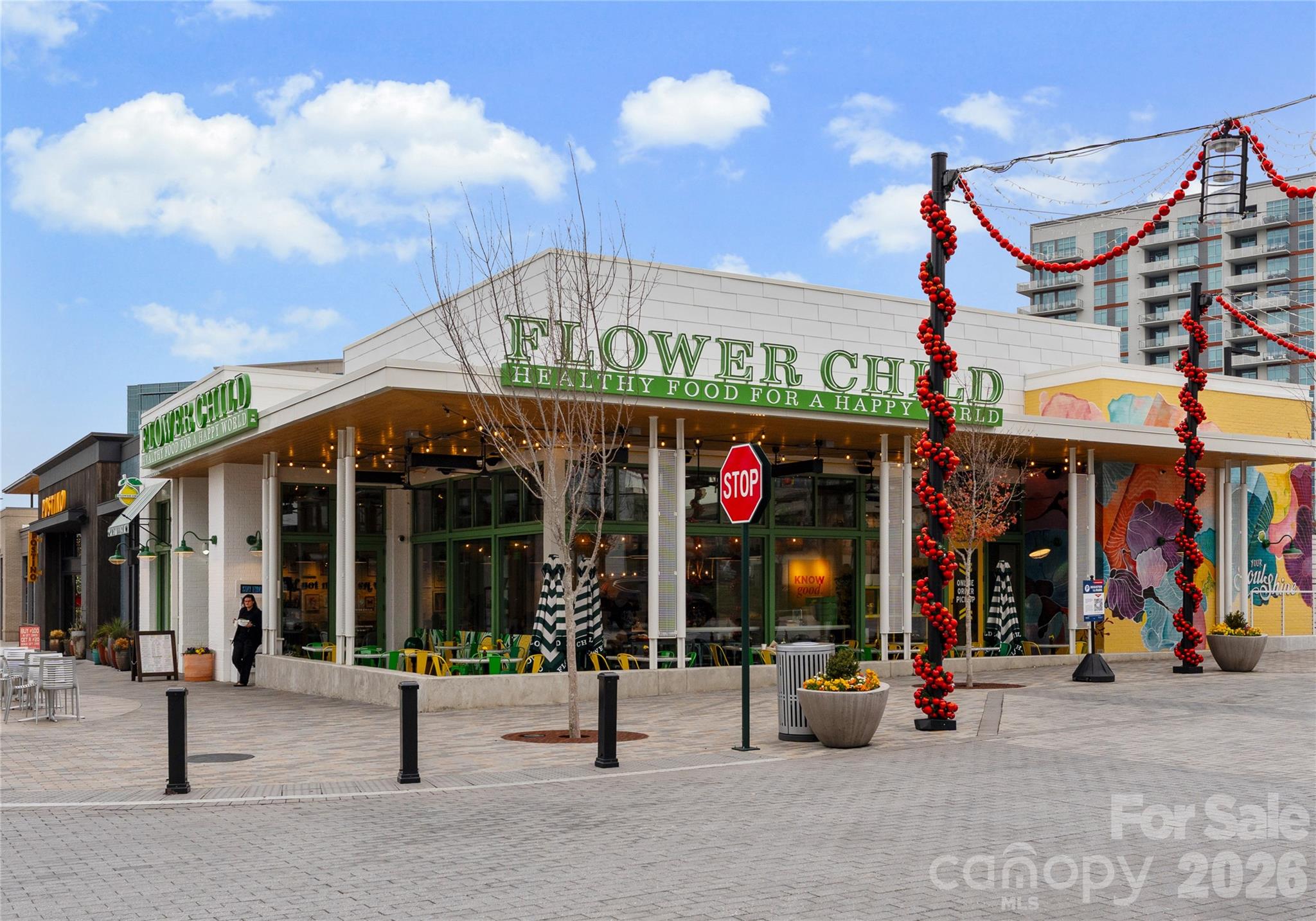 10012 Paradise Ridge Road Charlotte, NC 28277 - Photo 46 of 48 a view of street with sitting area
