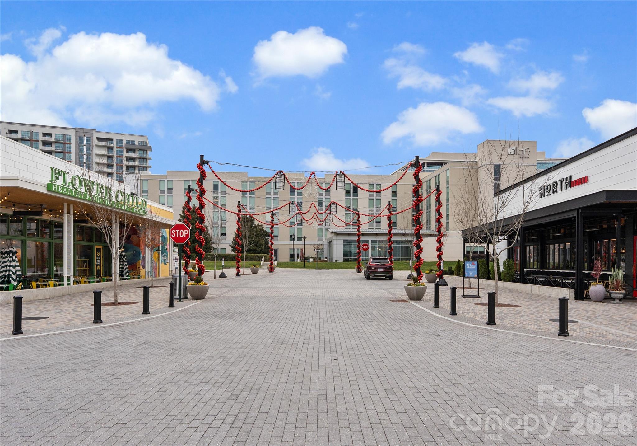 10012 Paradise Ridge Road Charlotte, NC 28277 - Photo 48 of 48 a view of a street with a apartment