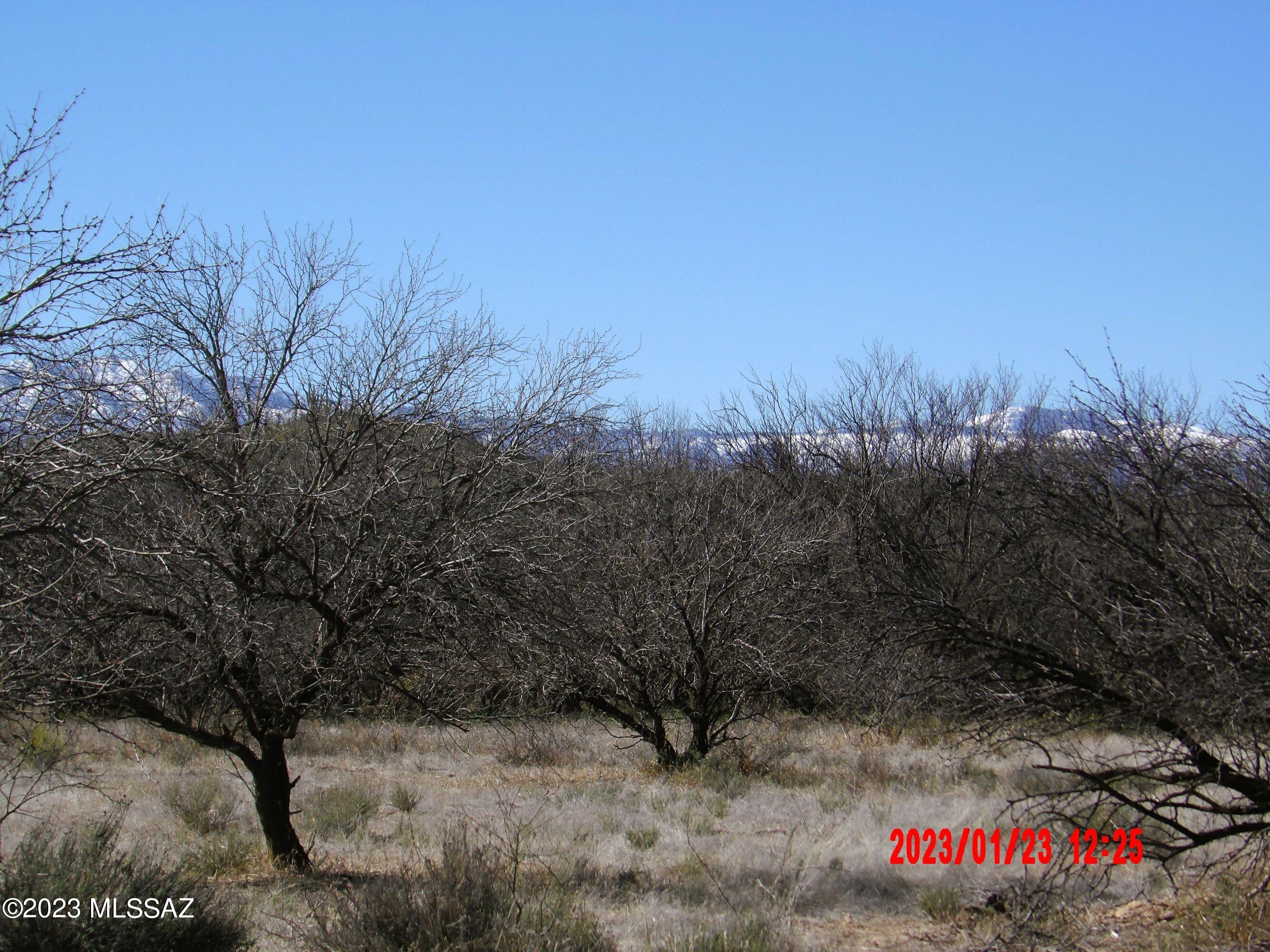 16160 Redington Road Benson, AZ 85602 - Photo 11 of 29 Gallery Image 11