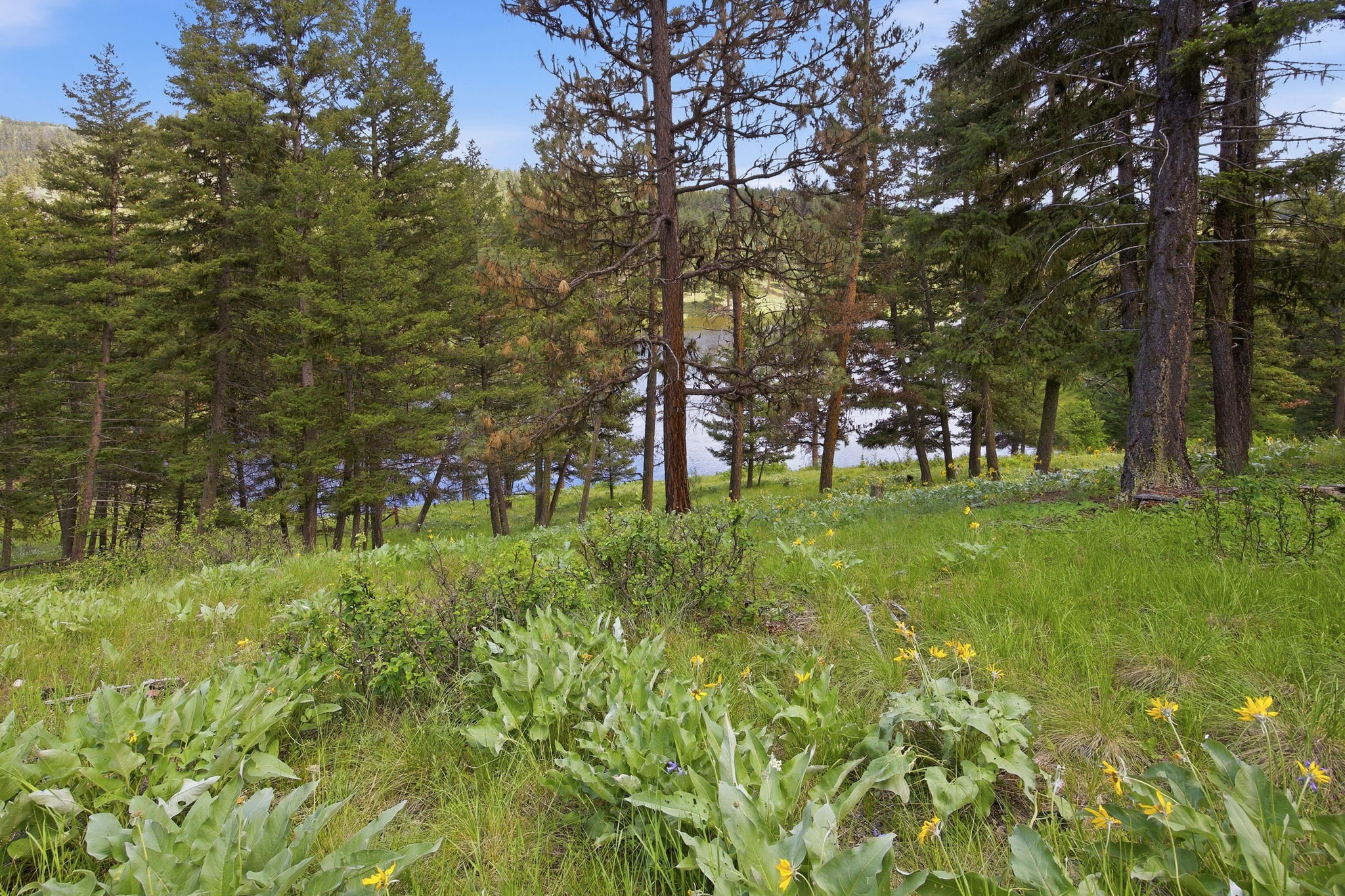 3 Big Waters Ranch Road Seeley Lake, MT 59868 - Photo 27 of 49 Gallery Image 27