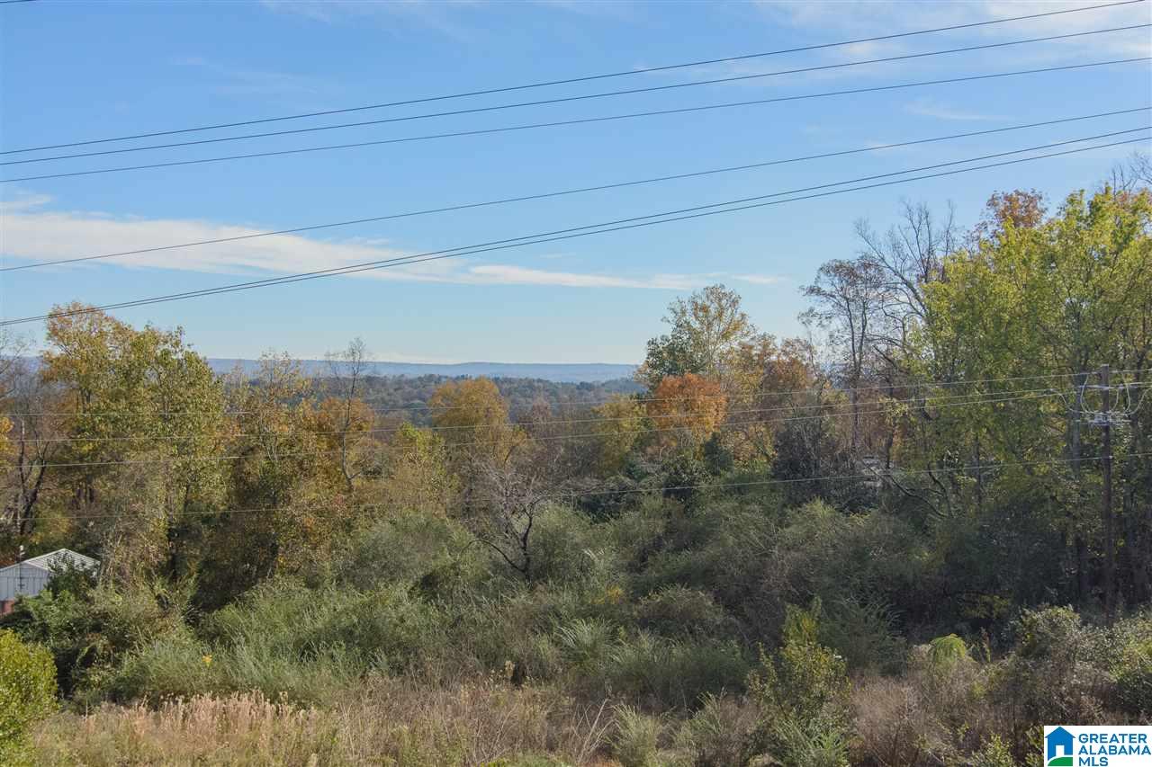 3429 Springhill Road Birmingham, AL 35223 - Photo 35 of 36 Gallery Image 35